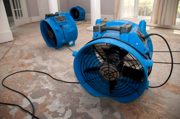 Best Water damage restoration near me  in Cedar Rapids, IA