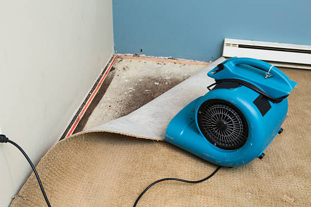 Best Sewage cleanup and water damage restoration  in Cedar Rapids, IA